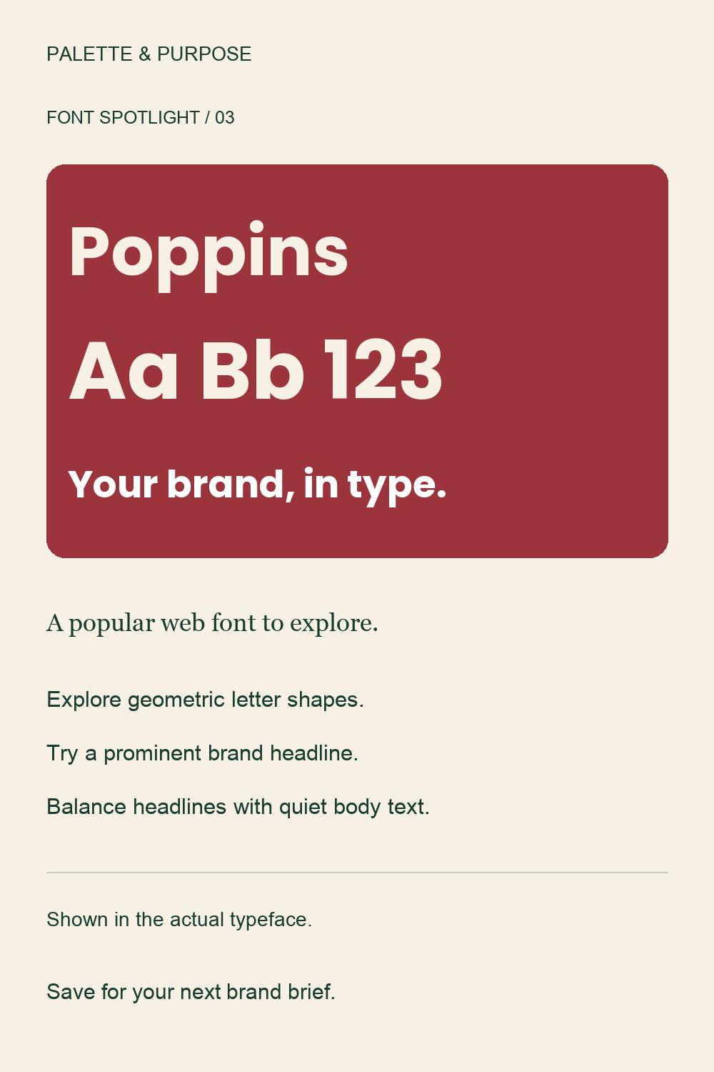 Poppins Font: Typography Ideas for Small Business Branding — visual reference